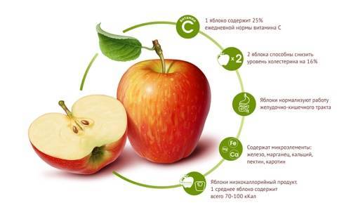 Какие витамины в яблоках и чем они полезны