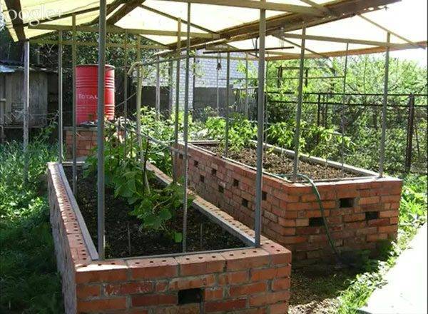Умный огород, который рекомендует дачникам игорь лядов: преимущества методики, сооружение грядок