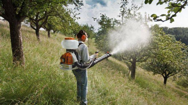 9 правил, которые надо соблюдать при обработке растений пестицидами