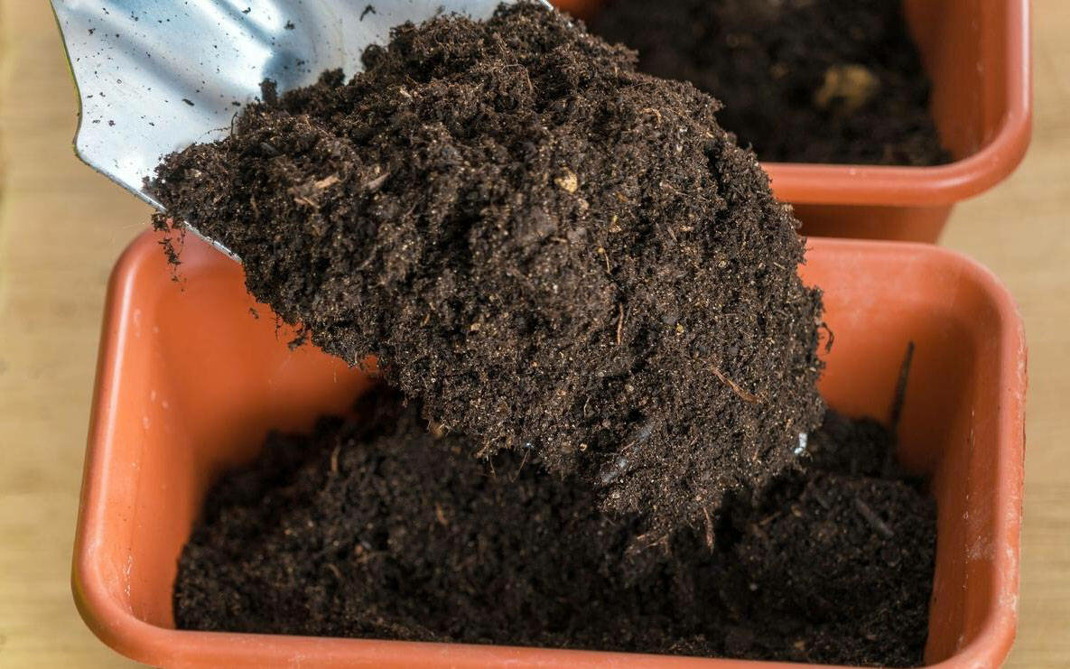 Подготовка грунта к посадке рассады: 4 правильных состава почвы