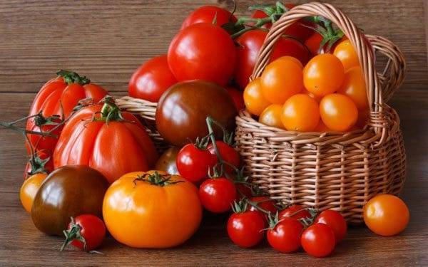 Какие томаты стоит посадить в теплице подмосковья в 2020 году: лучшие наименования