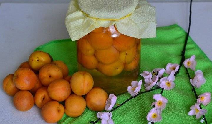 Приготовление вкусного компота из персиков на зиму — 6 лучших рецептов