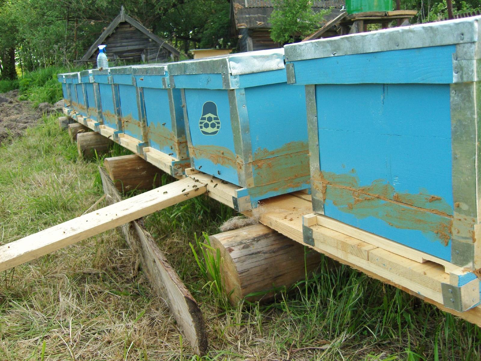 Какой инвентарь для пчеловодства нужен начинающему пасечнику