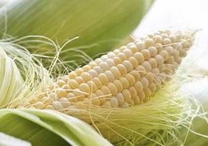 Кукуруза: применение для лечения и в косметологии
