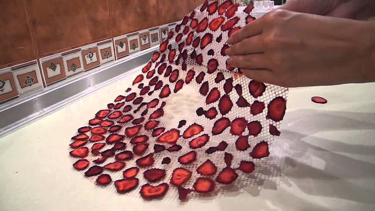 Как сушить клубнику в электросушилке: пошаговая инструкция как правильно высушить клубнику (105 фото и видео)