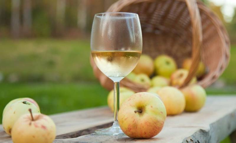 Домашнее вино из натурального яблочного сока: специфика приготовления