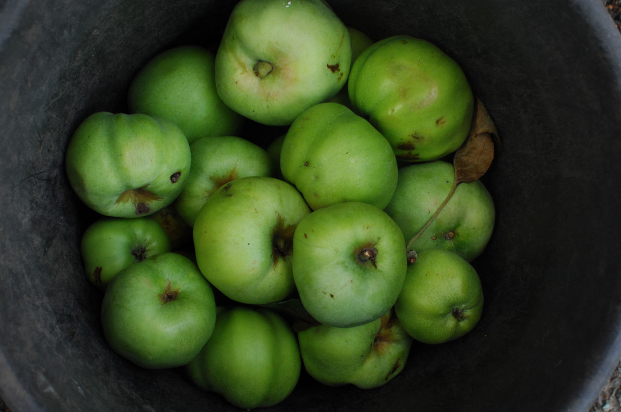 Какие витамины есть в яблоке и чем они полезны человеку?