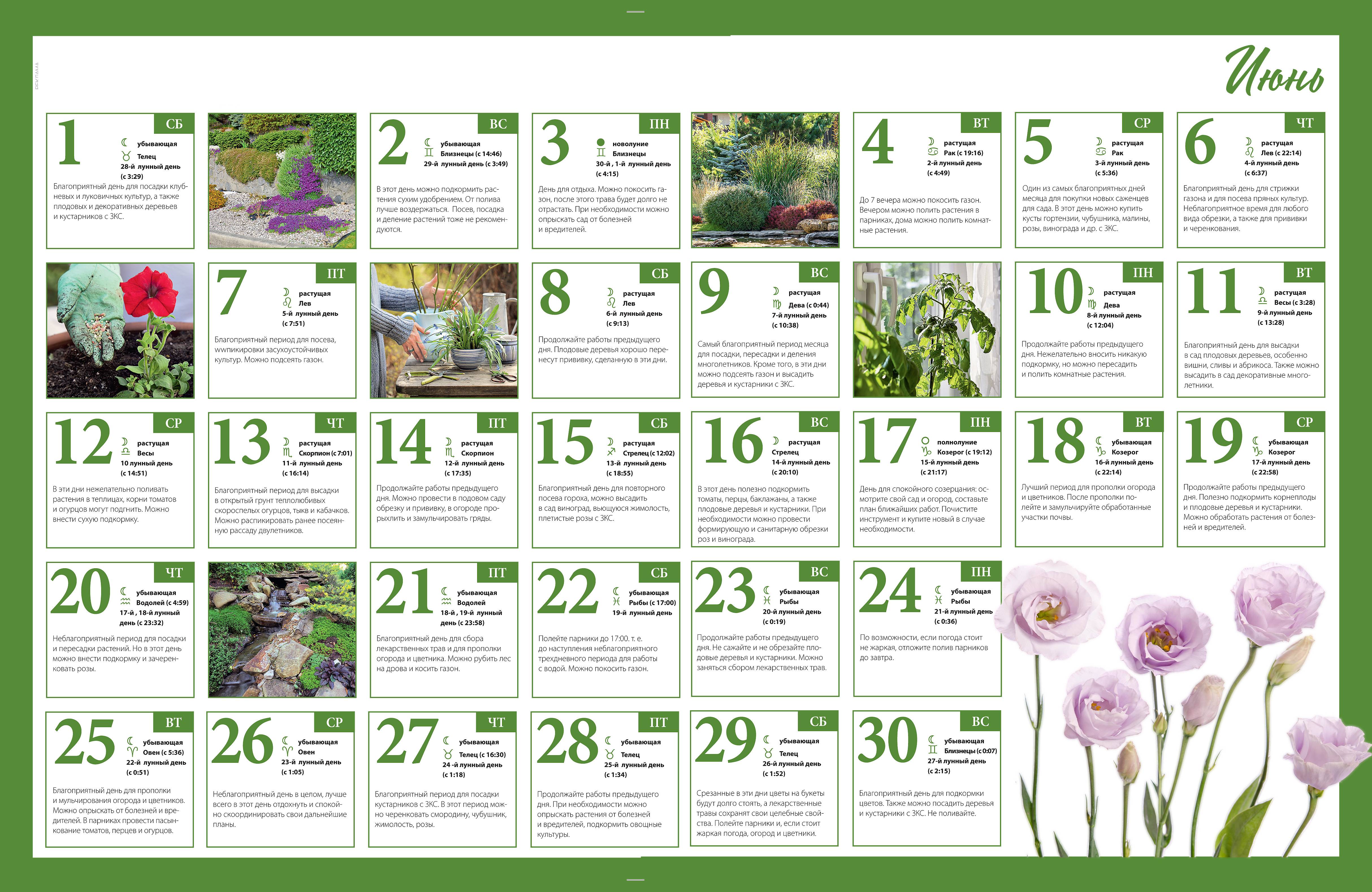 Лунный посевной календарь садовода, огородника и цветовода на 2020 год