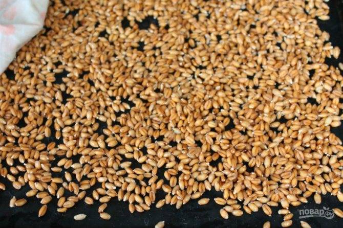 Проростки пшеницы для похудения и очищения