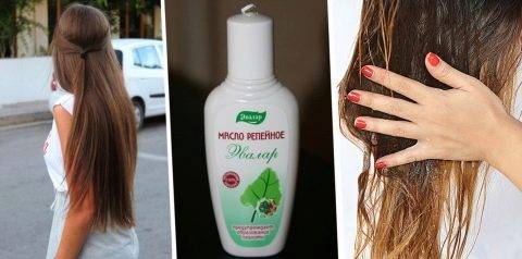 Живительная сила масла жожоба для ваших волос: полезные свойства средства и секреты его применения