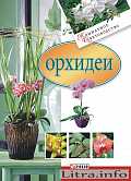 Катасетум и другие орхидеи морковки, или как получить на одном растении совершенно разные цветы
