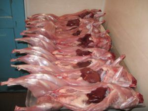 Мясо нутрии: полезные свойства и разделка тушки