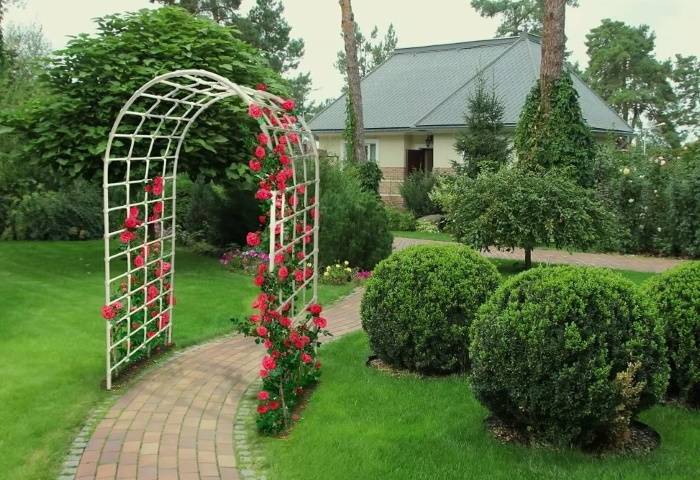Идеи дизайна садовой арки
