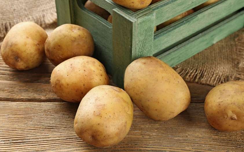 Картофель из ростков – самый быстрый способ обновить сорт