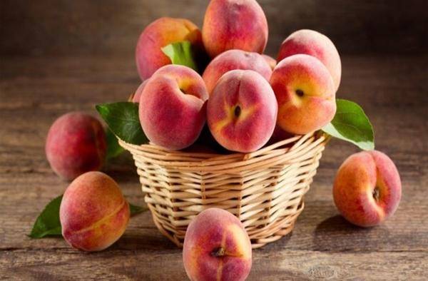 Абрикосовый компот – из свежих, сушеных, замороженных абрикосов с косточками и без на зиму