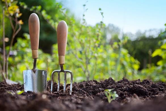 Болезни и вредители сада: обработка весной, в апреле и мае