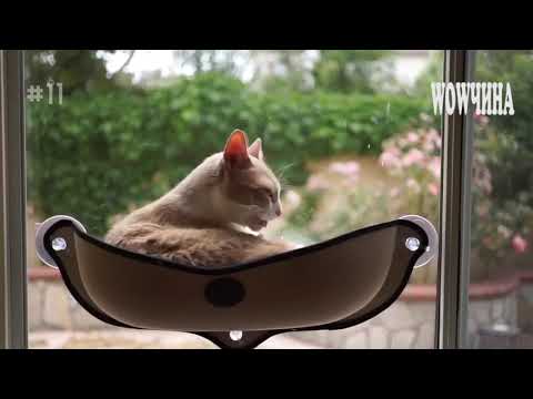 Как своими руками сделать гамак для любимой кошки – лежанку на батарею или окно?
