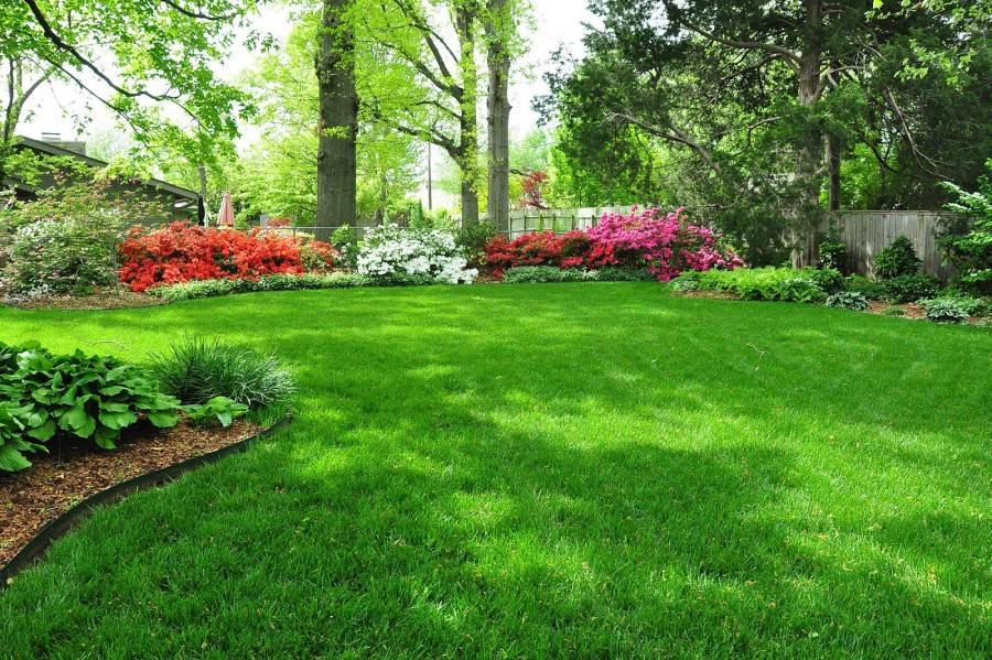 Как сделать газон на даче своими руками: выбор травы и пошаговая инструкция обустройства