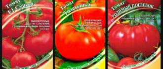 Как вырастить помидоры без рассады