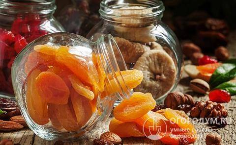 7 правил хранения сухофруктов: как хранить сушеные фрукты и ягоды в домашних условиях?