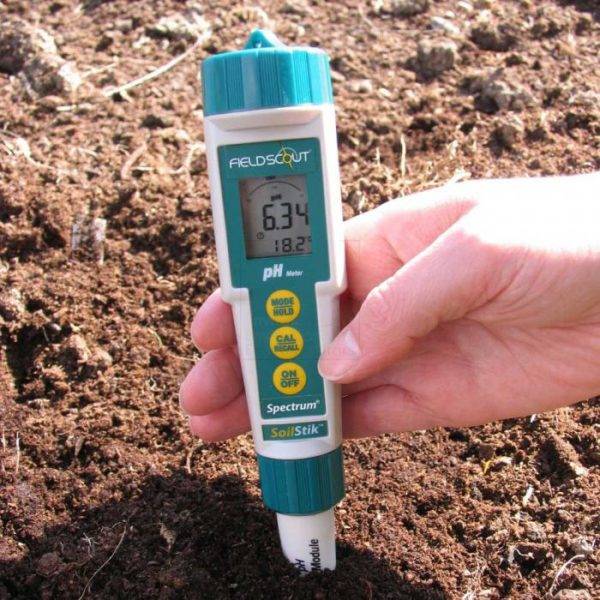 Как самостоятельно определить кислотность почвы