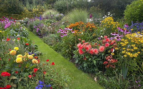 10 садовых хитростей для продвинутых дачников