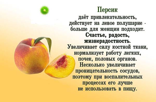 Польза персиков для здоровья кожи, сердца и для похудения