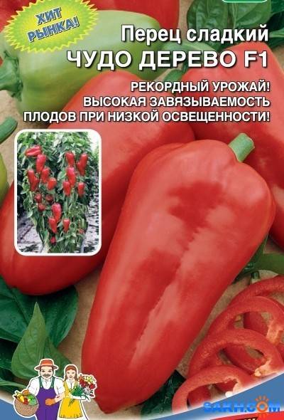 Популярные в России производители лучших сортовых семян