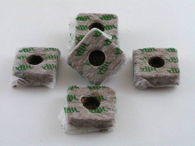 Кубики из минеральной ваты для рассады