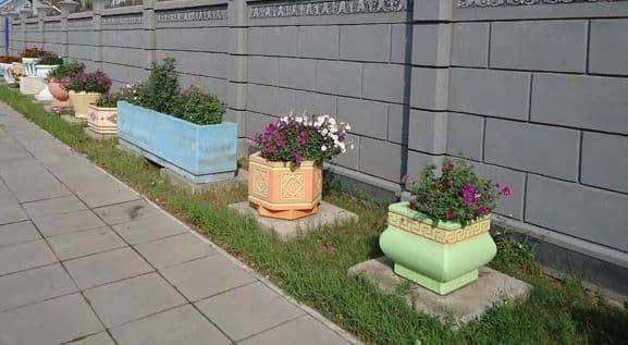 Изготовление вазонов из бетона своими руками: идеальное обрамление для уличных цветов