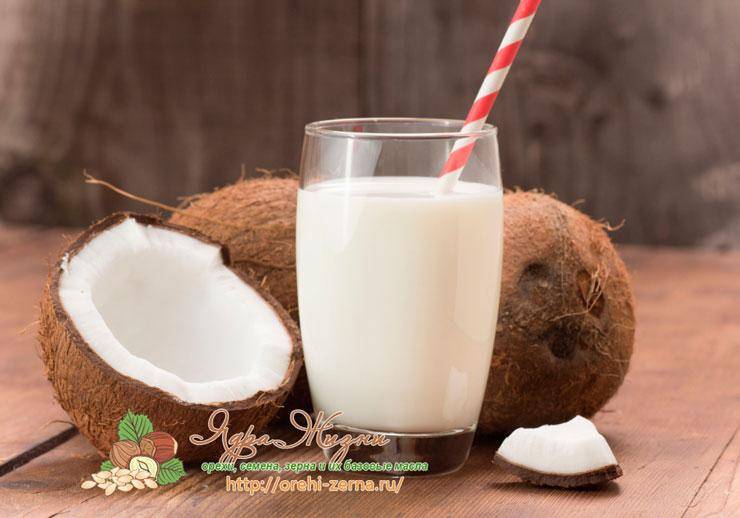 Кокосовое молоко — глоток рая на земле