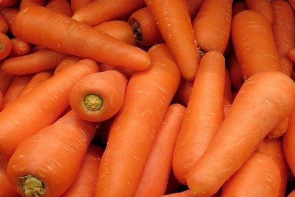 Агротехника выращивания моркови в природном земледелии
