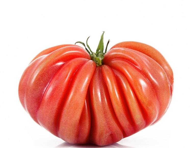 Любимец фермеров среди помидоров: томат бычье сердце, характеристика и описание сорта