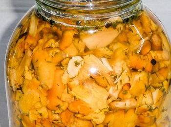 Как вкусно приготовить жареные грибы лисички — фото-рецепты — грибы лисички как приготовить вкусно