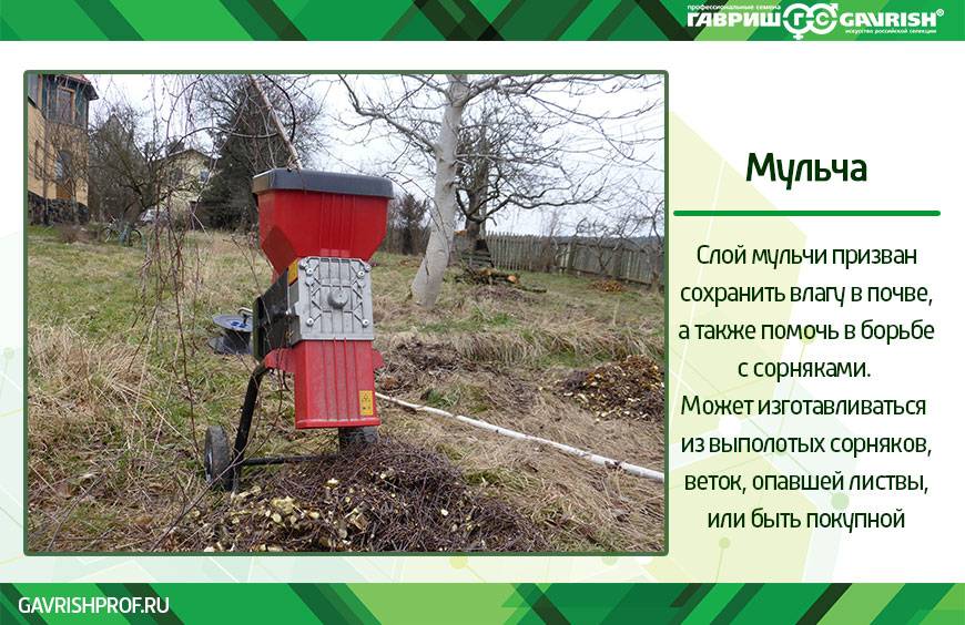 Внесение жидкого навоза в почву – преимущества и недостатки метода