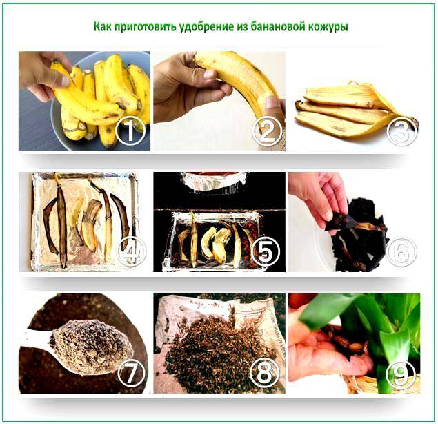 Как сделать удобрение из банановой кожуры для цветов, видео