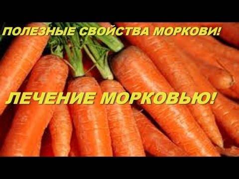 Какие витамины в морковке и чем она полезна