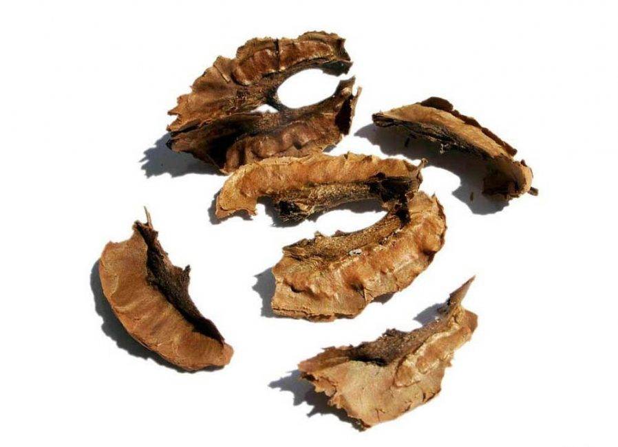Лечебная настойка на перегородках грецкого ореха – применяем с пользой