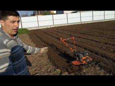 Агротехника и технология выращивания картофеля