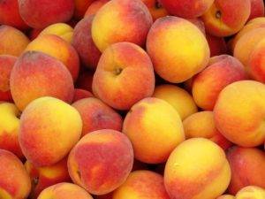 Польза и вред персиков для здоровья