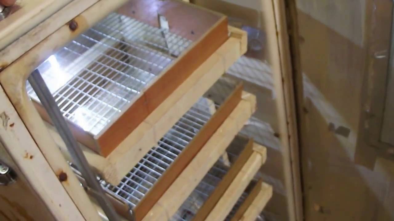 Устройство для автоматического поворачивания яиц в инкубаторе своими руками