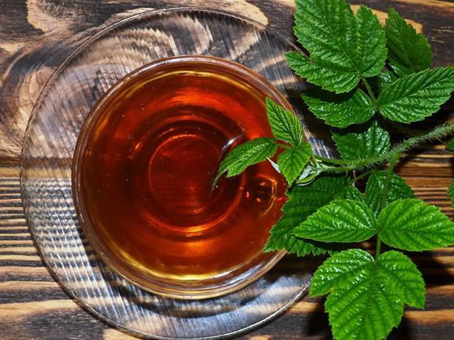 Чай из листьев яблони полезные свойства и противопоказания