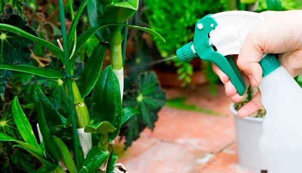 Применение борной кислоты в садоводстве и огородничестве: польза, дозировки