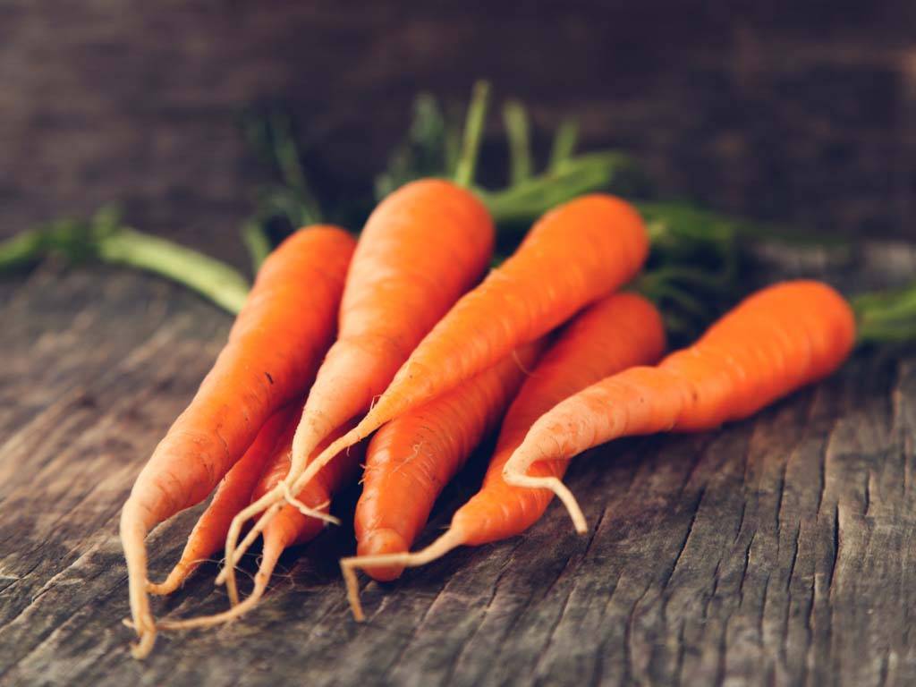 Польза и вред моркови. можно ли есть овощ в сыром виде и как грамотно применять его?