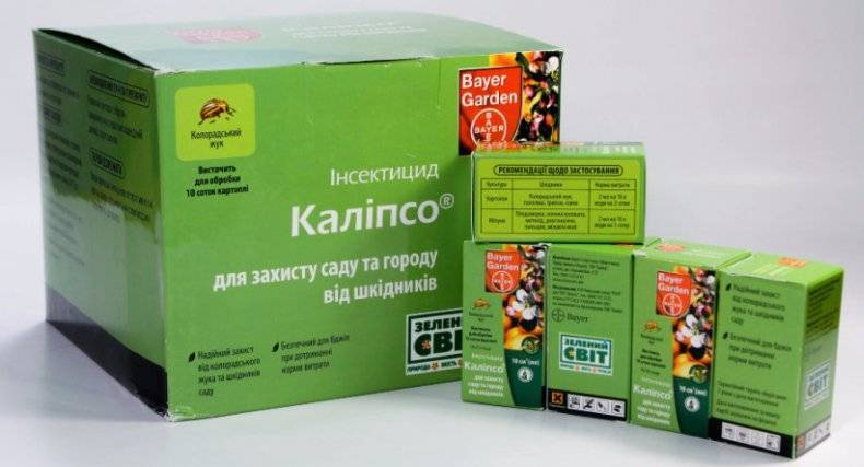 Калипсо – эффективный яд от колорадского жука