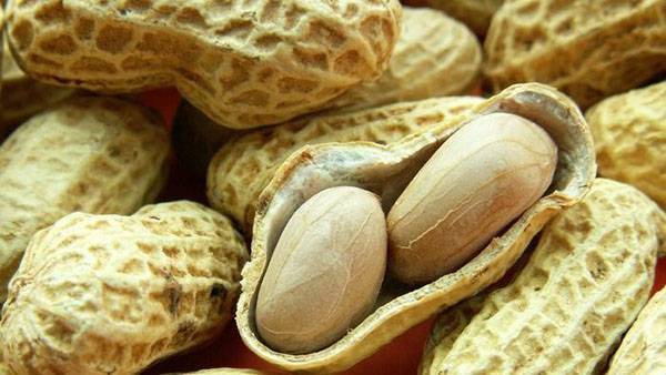 Нюансы плодоношения грецкого ореха: когда созревает урожай и как его собирать?