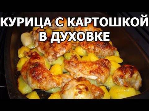 Курица с картошкой в духовке — 13 самых вкусных рецептов запекания