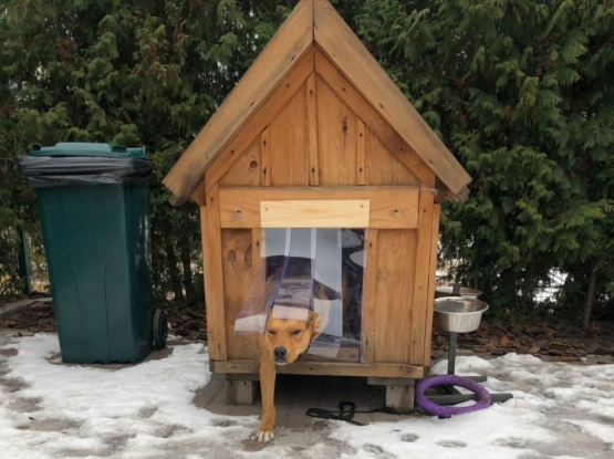 Подготовка собачьего домика к холодам
