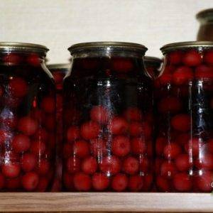 Компот из вишни на зиму — пошаговые рецепты на 3 литровую банку