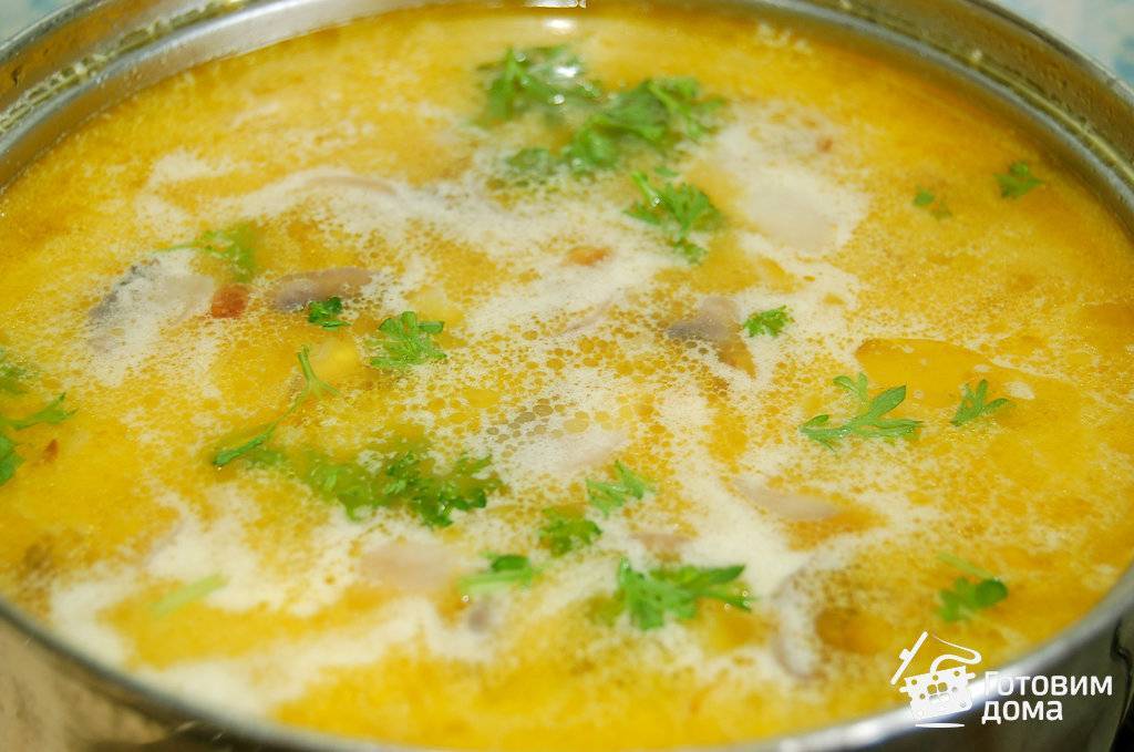Суп из плавленного сырка. рецепт пошагово с грибами, курицей, колбасой